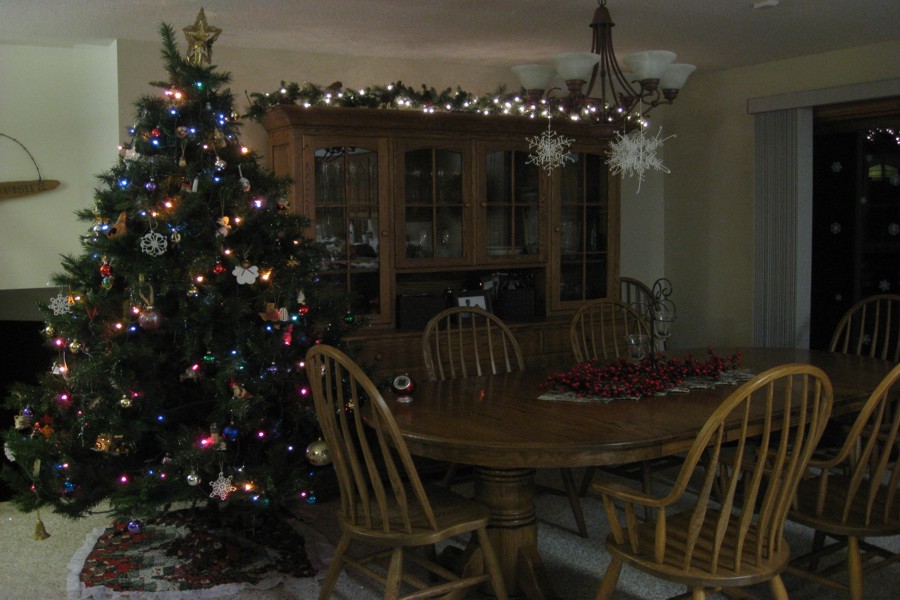 ../image/christmas tree 2.jpg